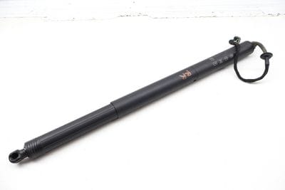 Trunk Hatch Strut / Shock