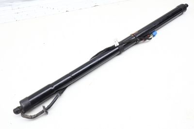 Trunk Hatch Strut / Shock