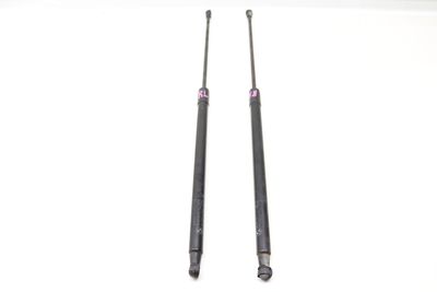 TRUNK HATCH STRUT / SHOCK ABSORBER SET 7296775