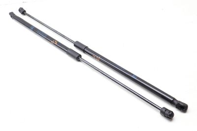 Trunk Hatch Strut / Shock Set 2539800300