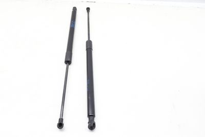 Trunk Hatch Strut / Shock Set 5GM827550