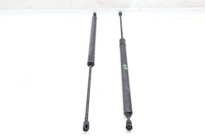 TRUNK HATCH STRUT / SHOCK SET 7D0829331F
