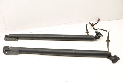 TRUNK HATCH STRUT / SHOCK SET