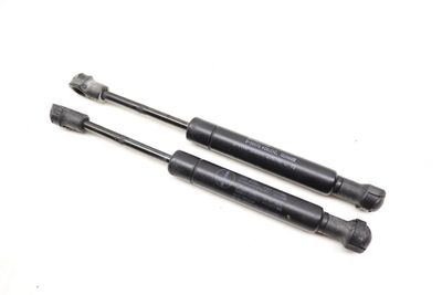 TRUNK HATCH STRUT / SHOCK SET