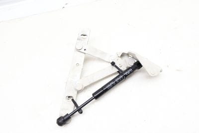 Trunk Hinge