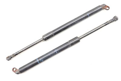 TRUNK LID STRUT / SHOCK ABSORBER SET 8222913