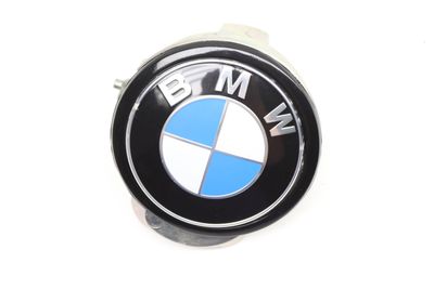 TRUNK RELEASE SWITCH / EMBLEM 7273659