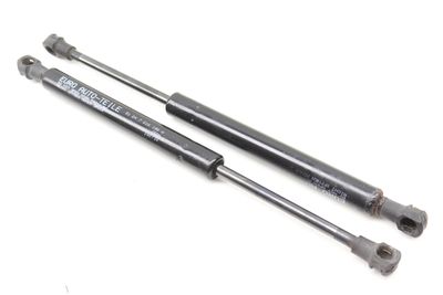 TRUNK STRUT / SHOCK SET 7016186