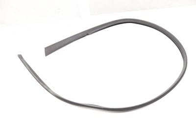 UPPER INNER DOOR SEAL / WEATHER STRIPPING 420854544