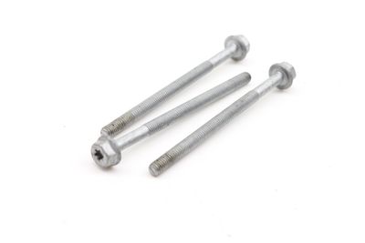 VACUUM PUMP SCREW / BOLT SET (3) N10739401