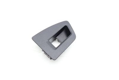 Window Switch Trim 3CN868345