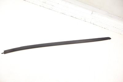 Windshield Trim 51317462206