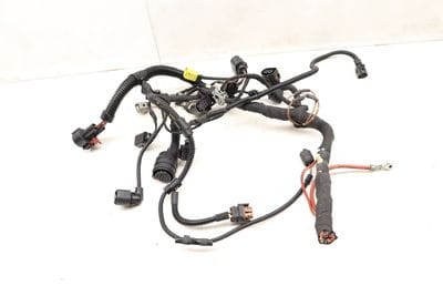 Wiring Harness / Loom