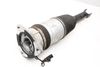 Airbag Shock / Strut / Spring 4E0616001E — photo 1