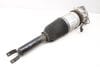 Airbag Shock / Strut / Spring 4E0616001E — photo 2