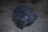 Spare Tire Housing 51713428665 — photo 1