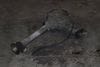 Axle Differential / Diff 0AA409508B — photo 1
