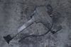 Axle Differential / Diff 0AA409508B — photo 2