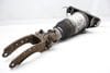 Air Shock / Strut Assembly 7L5412022BB — photo 4