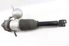 Air Shock / Strut Assembly 3D0616001H — photo 2