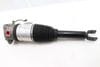 Air Shock / Strut Assembly 3D0616001M — photo 1