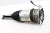Air Shock / Strut Assembly 3D0616001M — photo 2