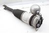 Air Shock / Strut Assembly 3D0616002J — photo 3