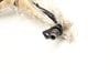 Transmission Cooler Line / Pipe 4E0317812B — photo 2