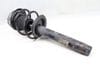 Strut / Spring Assembly (M) 31316761895 — photo 1