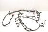 Engine Wiring Harness 077971610D — photo 1