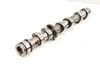 Exhaust Cam / Camshaft 06E109102AL — photo 1
