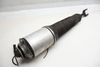 Airbag Shock / Strut / Spring 4E0616040AF — photo 1