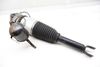 Airbag Shock / Strut / Spring 4E0616001E — photo 2