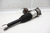 Airbag Shock / Strut / Spring 4E0616002E — photo 2