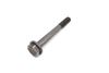 Crankshaft Pulley / Harmonic Balancer Screw / Bolt 11231440076 — photo 1