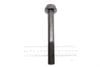 Crankshaft Pulley / Harmonic Balancer Screw / Bolt 11231440076 — photo 3