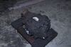 Axle Differential / Diff (3.64) 33107523668 — photo 4
