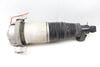 Air Shock / Strut Assembly 7L8616001 — photo 3