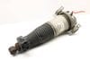 Air Spring / Strut Assembly 7L8616019 — photo 1