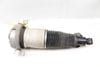 Air Shock / Strut Assembly 7L8616002 — photo 3