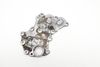 Engine Crankcase Cover 079103704E — photo 1