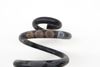 Coil Spring 8E0511115FN — photo 2