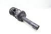 Strut Shock / Spring Assembly 98733305114 — photo 1