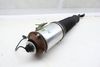 Air Ride Strut / Shock (ARNOTT AS-2776) — photo 1