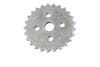 Lower Timing Chain Gear / Sprocket 079109570AP — photo 1