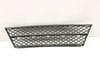 Bumper Center Grille (LOWER) 51117178115 — photo 2