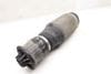 Air Suspension Shock / Spring 1643200725 — photo 1