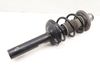 Strut Shock / Spring Assembly 98733305116 — photo 1