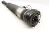 Air Shock / Strut Assembly 4H0616001M — photo 2