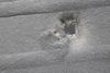 Hood Insulation / Sound Blanket 4L0863825 — photo 4